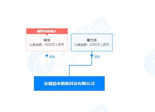 李斌投資成立蔚來數據公司，深化計算機系統集成服務布局